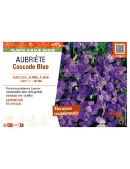 AUBRIÈTE CASCADE BLUE