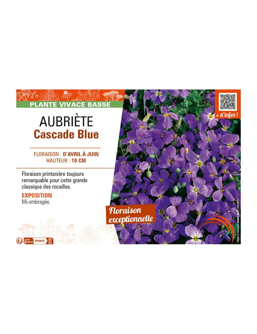 AUBRIÈTE CASCADE BLUE