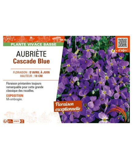 AUBRIÈTE CASCADE BLUE