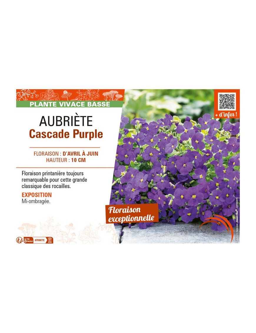 AUBRIÈTE CASCADE PURPLE