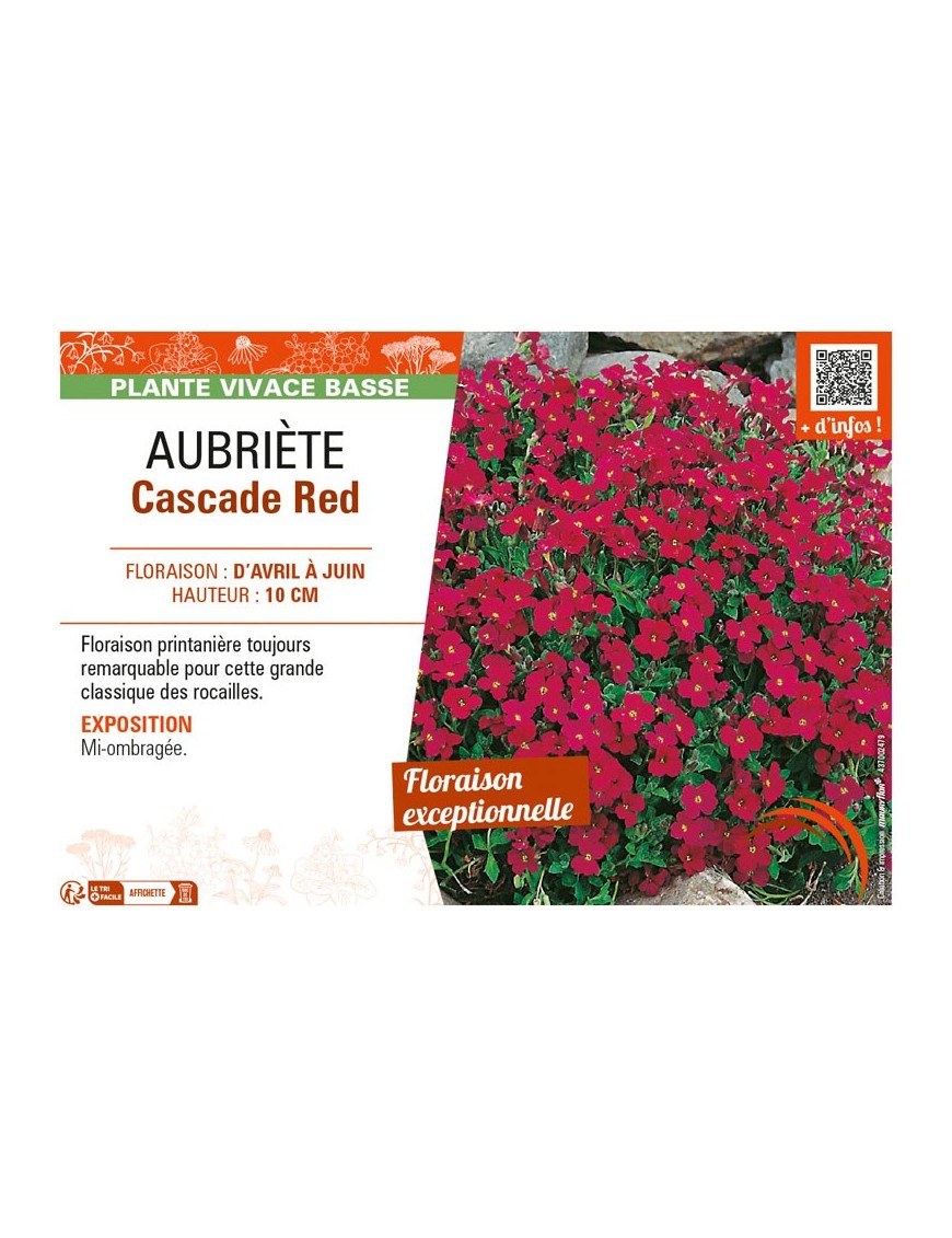 AUBRIÈTE CASCADE RED