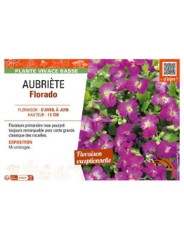 AUBRIÈTE FLORADO