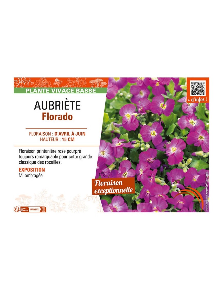 AUBRIÈTE FLORADO