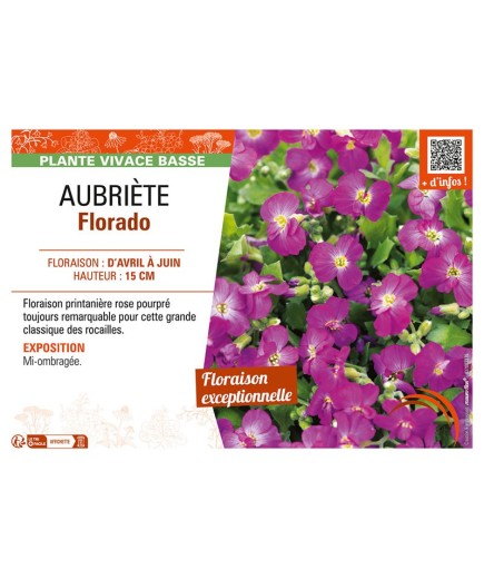 AUBRIÈTE FLORADO