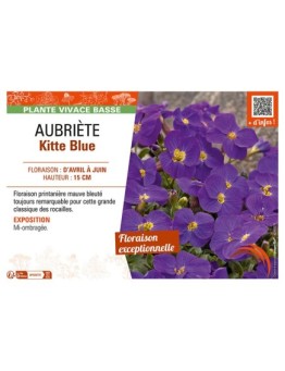 AUBRIÈTE KITTE BLUE