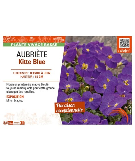 AUBRIÈTE KITTE BLUE