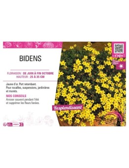 BIDENS