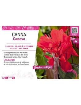 CANNA CANNOVA