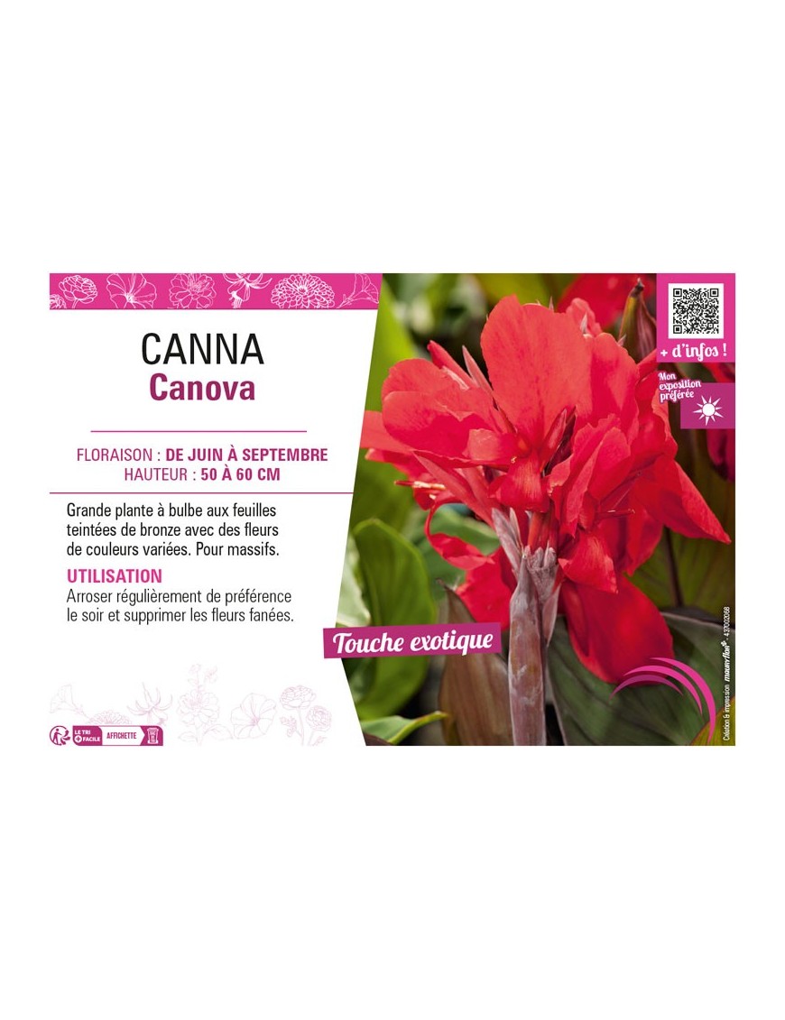 CANNA CANNOVA