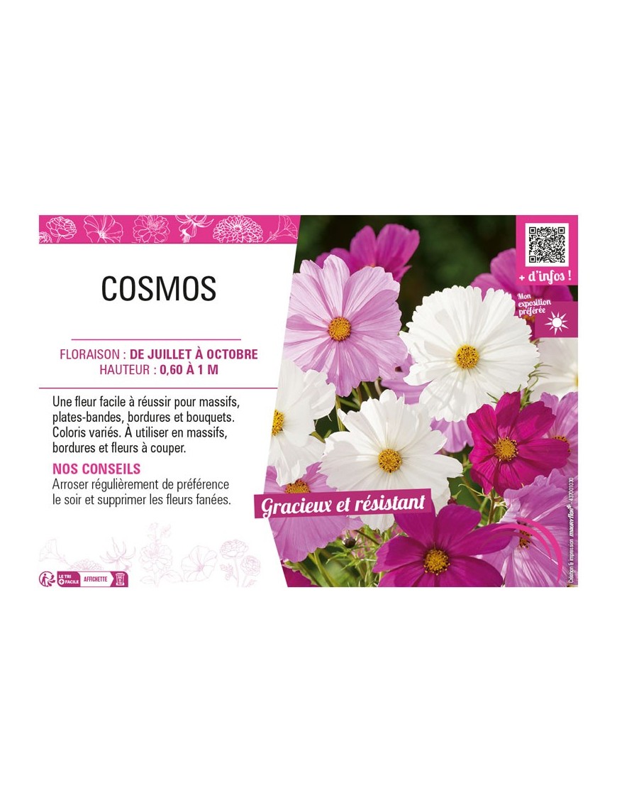 COSMOS (varié)
