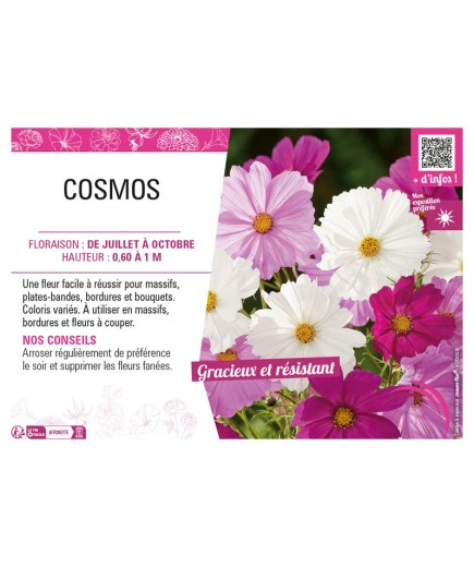 COSMOS (varié)