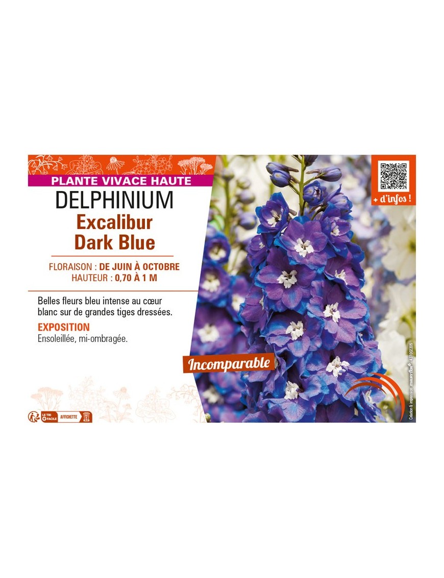 DELPHINIUM EXCALIBUR DARK BLUE