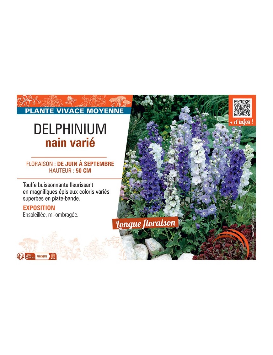 DELPHINIUM GUARDIAN SERIES