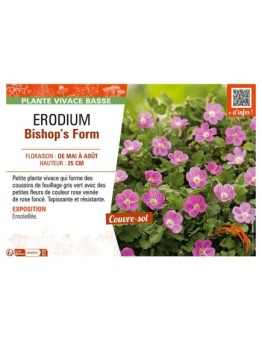 ERODIUM Bishop’s Form