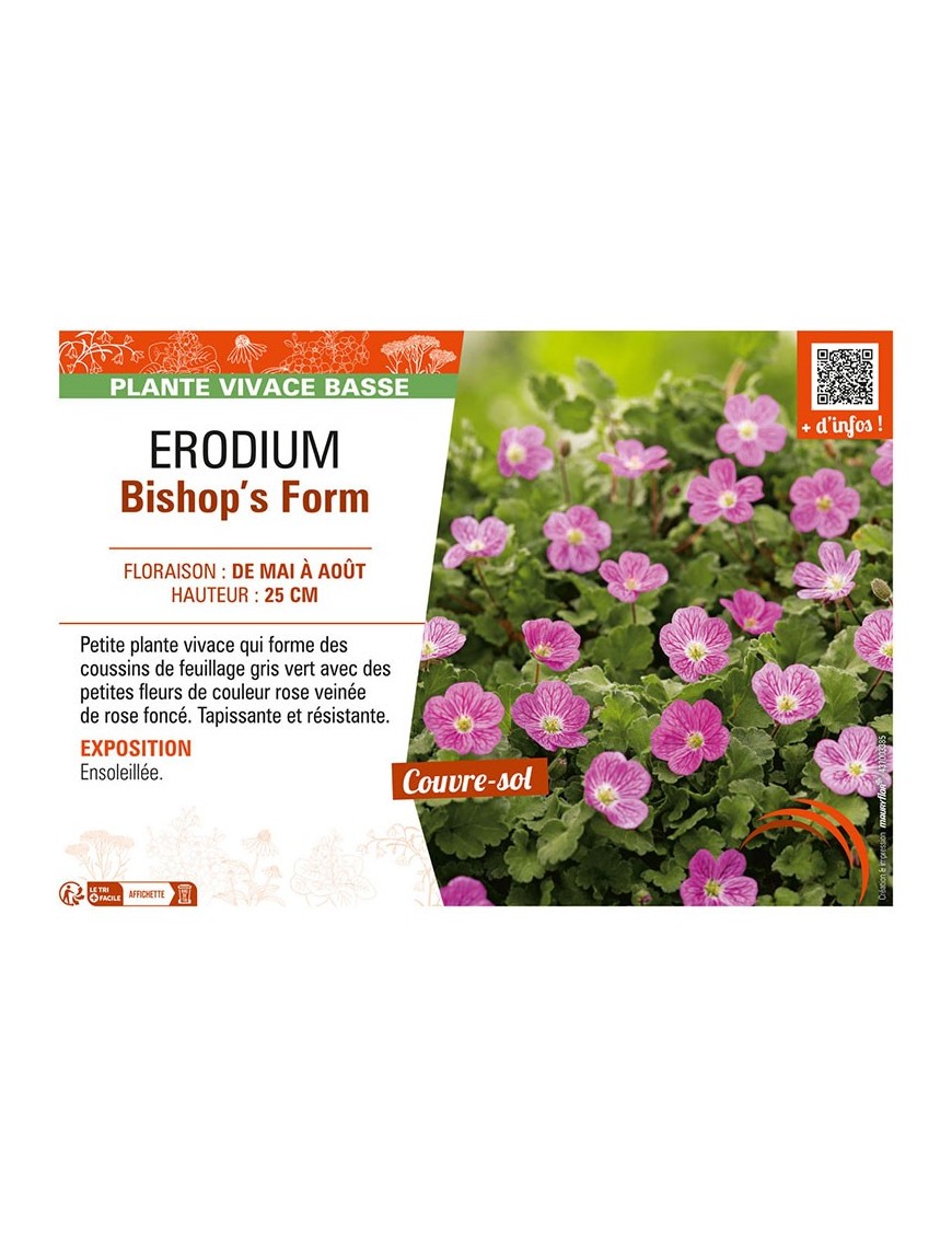 ERODIUM Bishop’s Form