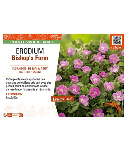 ERODIUM Bishop’s Form