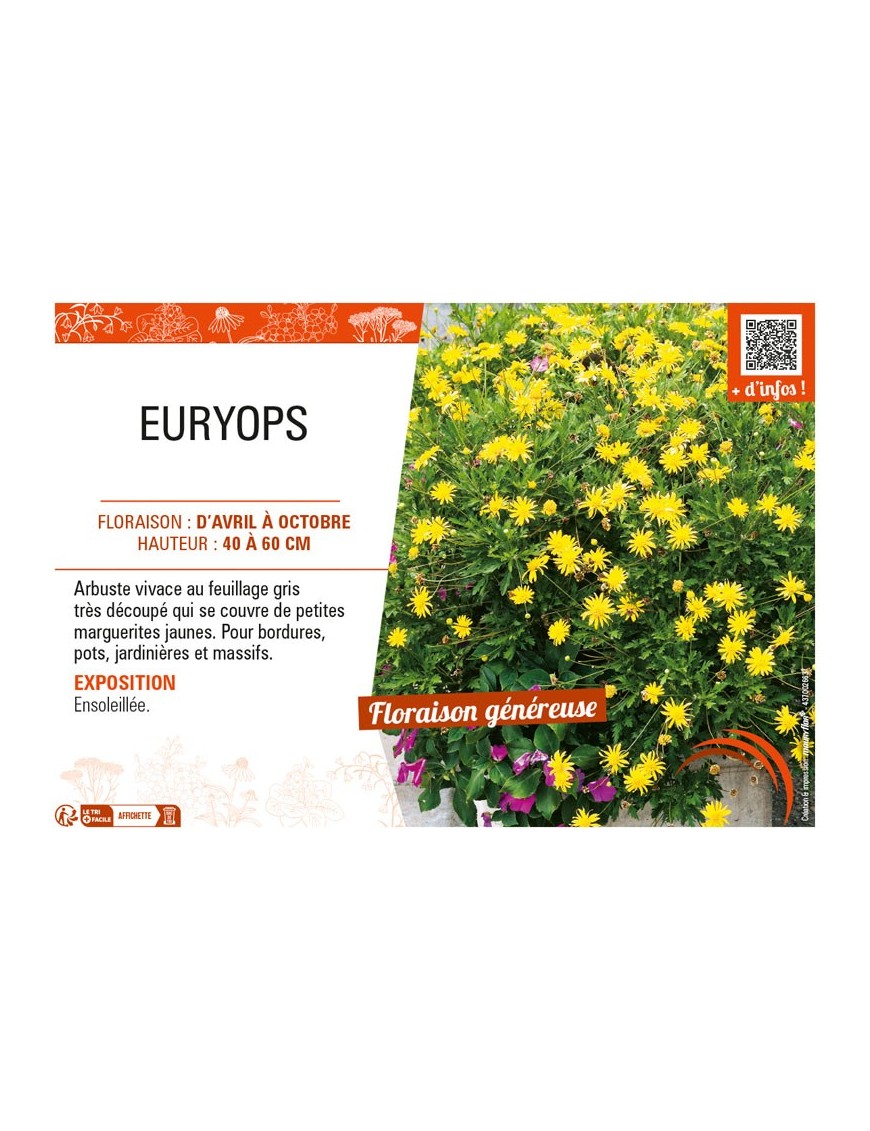 EURYOPS