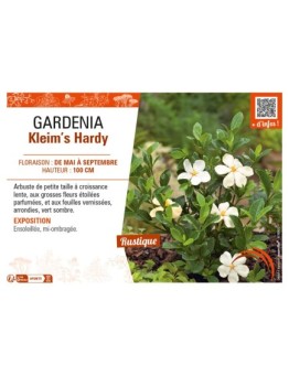 GARDENIA Kleim’s Hardy