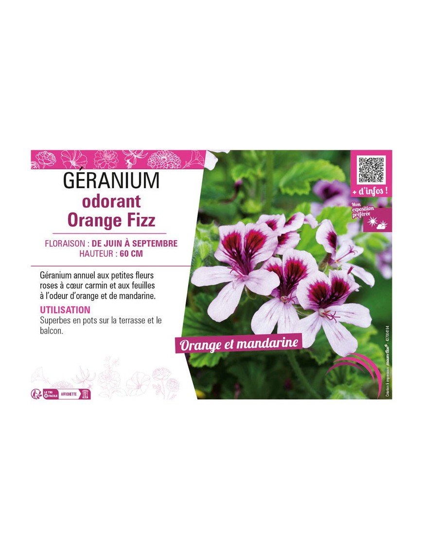 GÉRANIUM ODORANT ORANGE FIZZ