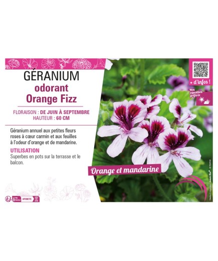 GÉRANIUM ODORANT ORANGE FIZZ