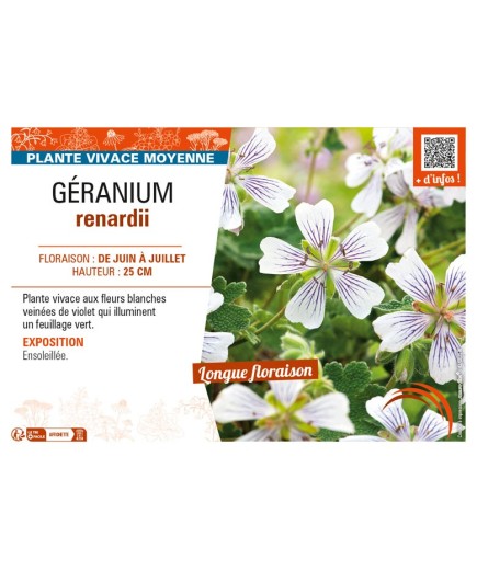 GÉRANIUM renardii