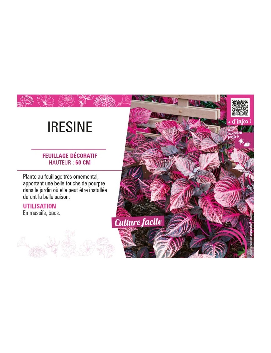 IRESINE