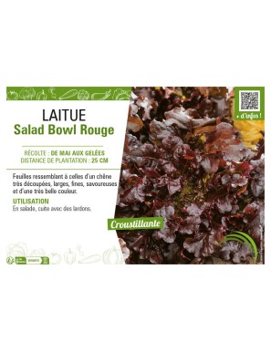 LAITUE (A COUPER) SALAD BOWL ROUGE