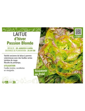 LAITUE D'HIVER PASSION BLONDE