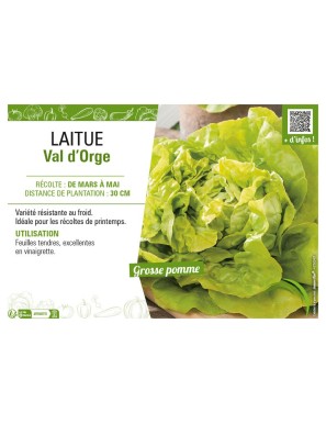 LAITUE VAL D'ORGE