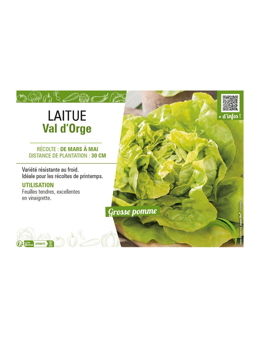 LAITUE VAL D'ORGE