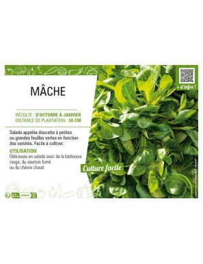MÂCHE