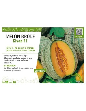 MELON BRODÉ SIVAN F1
