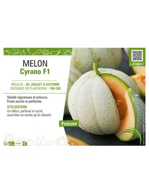 MELON CYRANO F1
