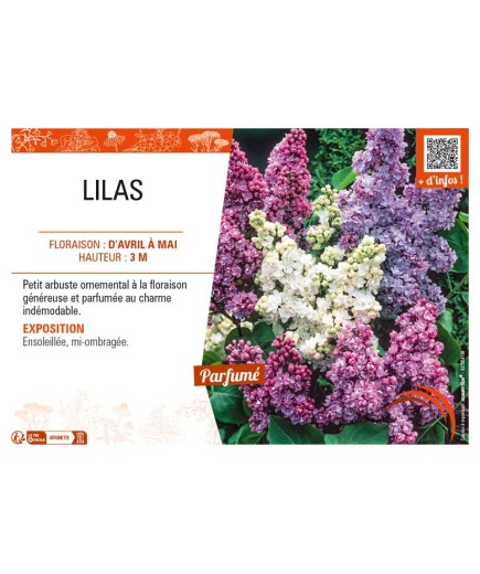 LILAS