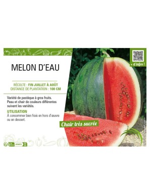 MELON D'EAU