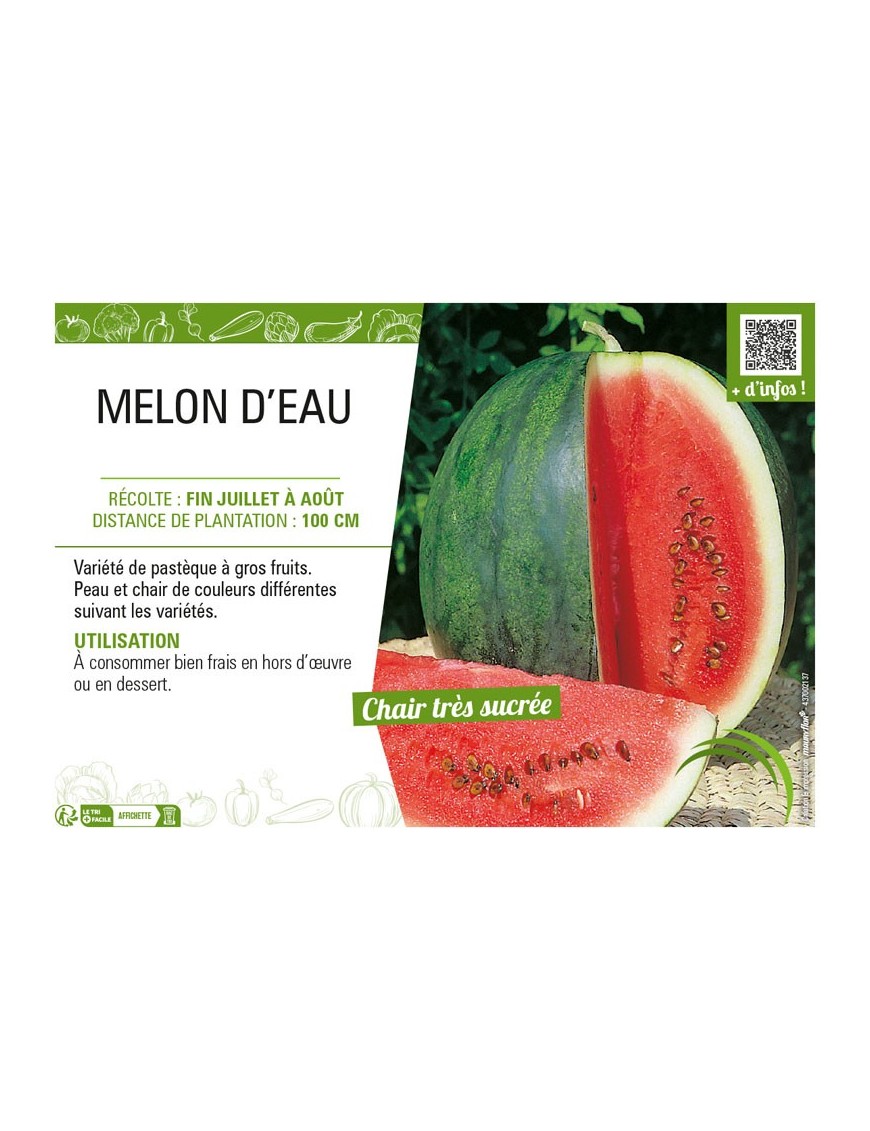 MELON D'EAU