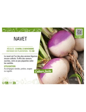 NAVET