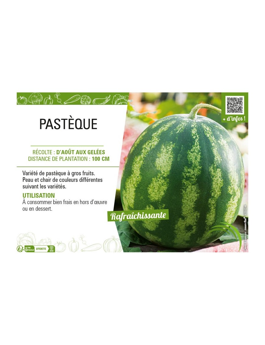 PASTÈQUE