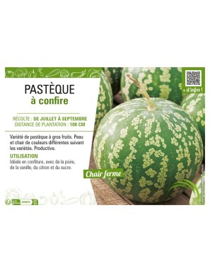PASTÈQUE À CONFIRE