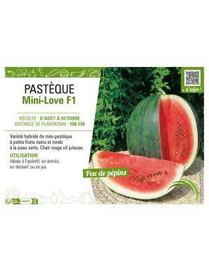 PASTÈQUE MINI LOVE F1