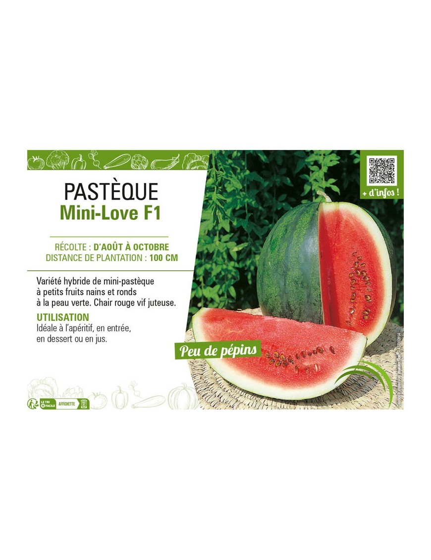 PASTÈQUE MINI LOVE F1