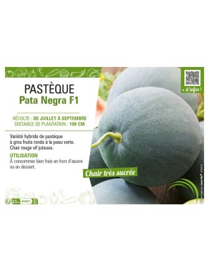 PASTÈQUE PATA NEGRA F1