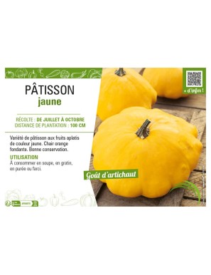 PÂTISSON JAUNE