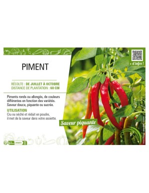 PIMENT
