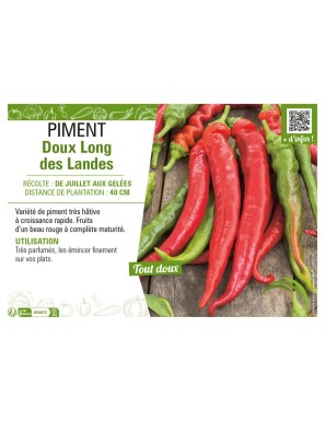 PIMENT DOUX LONG DES LANDES