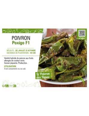PIMENT POXIGO F1