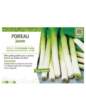 POIREAU JAUNE