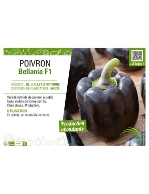 POIVRON BELLANIA F1