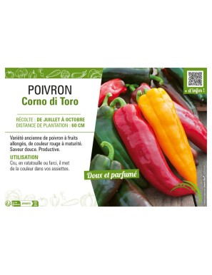 POIVRON CORNO DI TORO (JAUNE ET ROUGE)