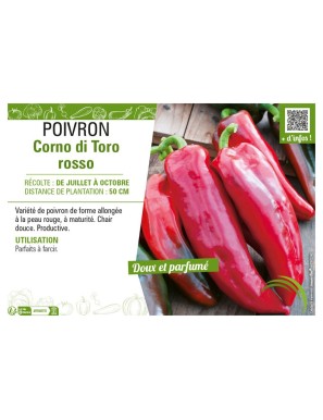POIVRON CORNO DI TORO ROSSO (ROUGE)